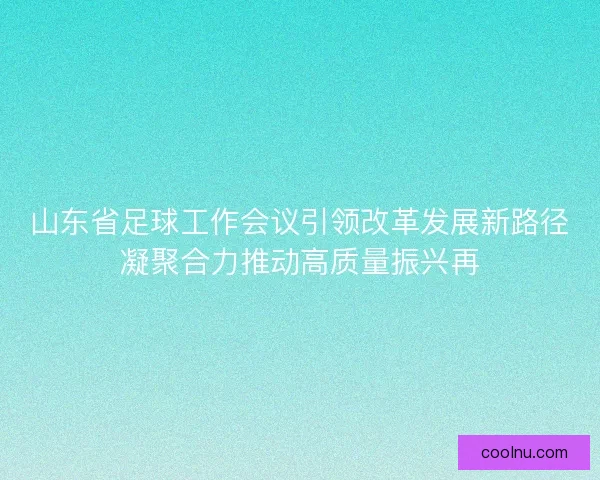 山东省足球工作会议引领改革发展新路径凝聚合力推动高质量振兴再